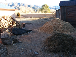 Main mulch pile in yard