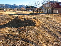 Mulch pile 2
