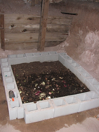 Redworm bed in cellar