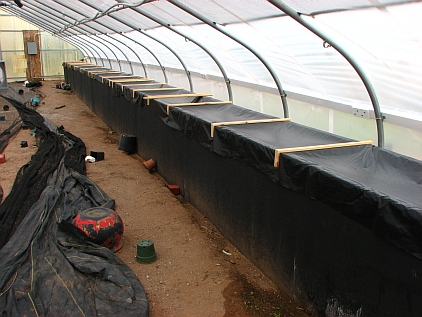 Greenhouse N tank with cover